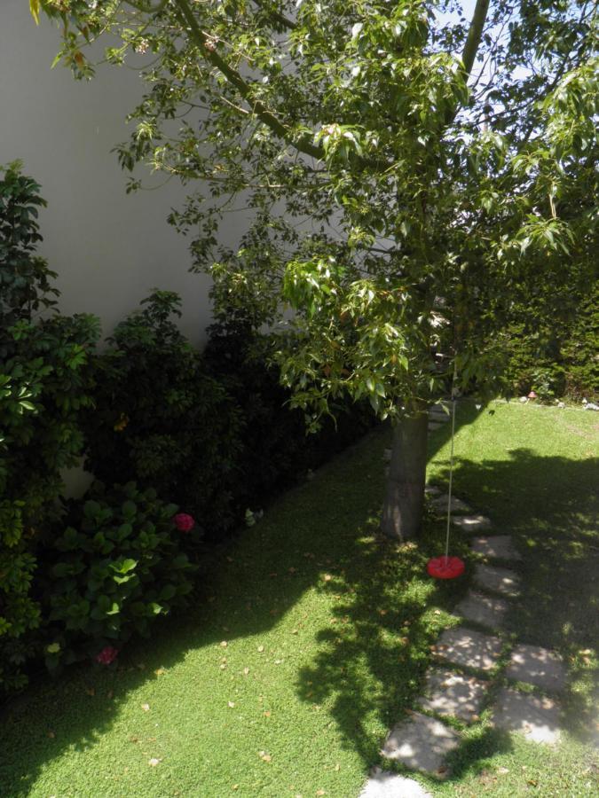 Appartement Anemolia Elegant